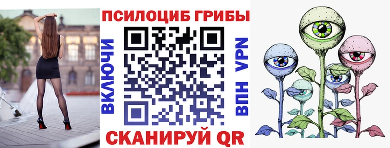 Купить закладки  Николаевск-на-Амуре  Псилоцибиновые грибы Magic Shrooms 